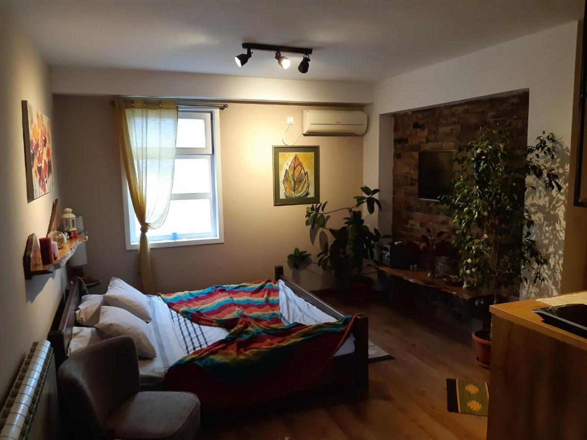 בלגרד Natura Apartment מראה חיצוני תמונה
