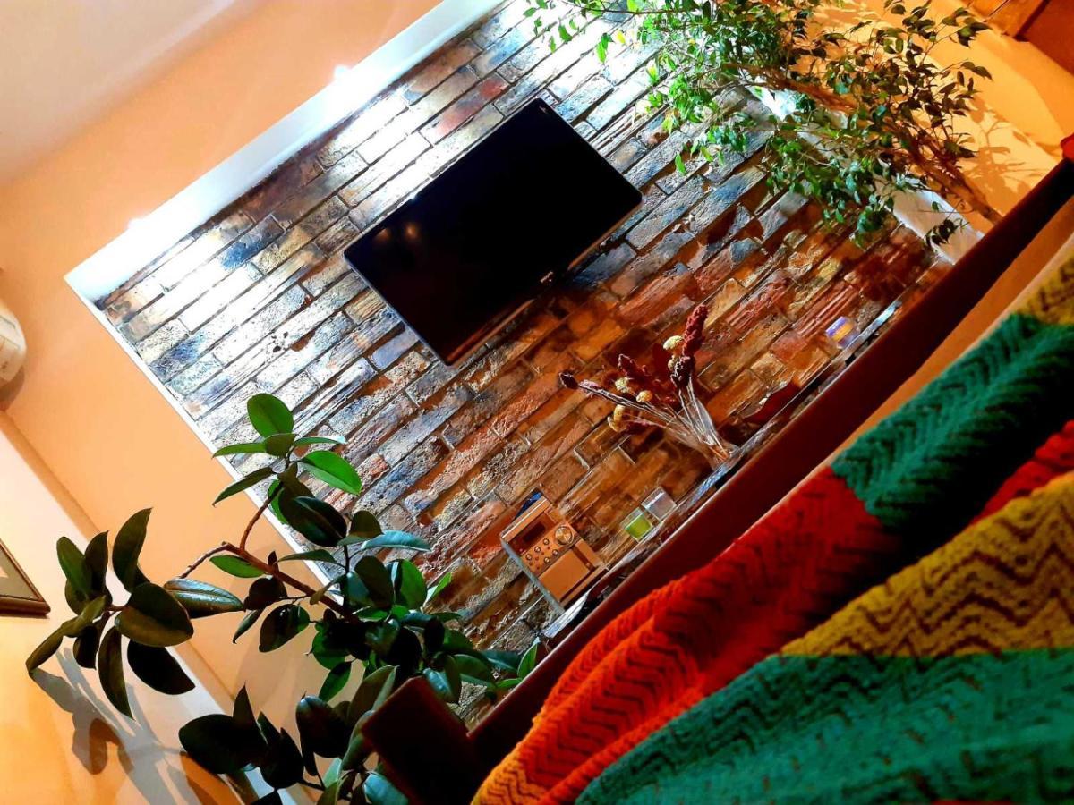 בלגרד Natura Apartment מראה חיצוני תמונה